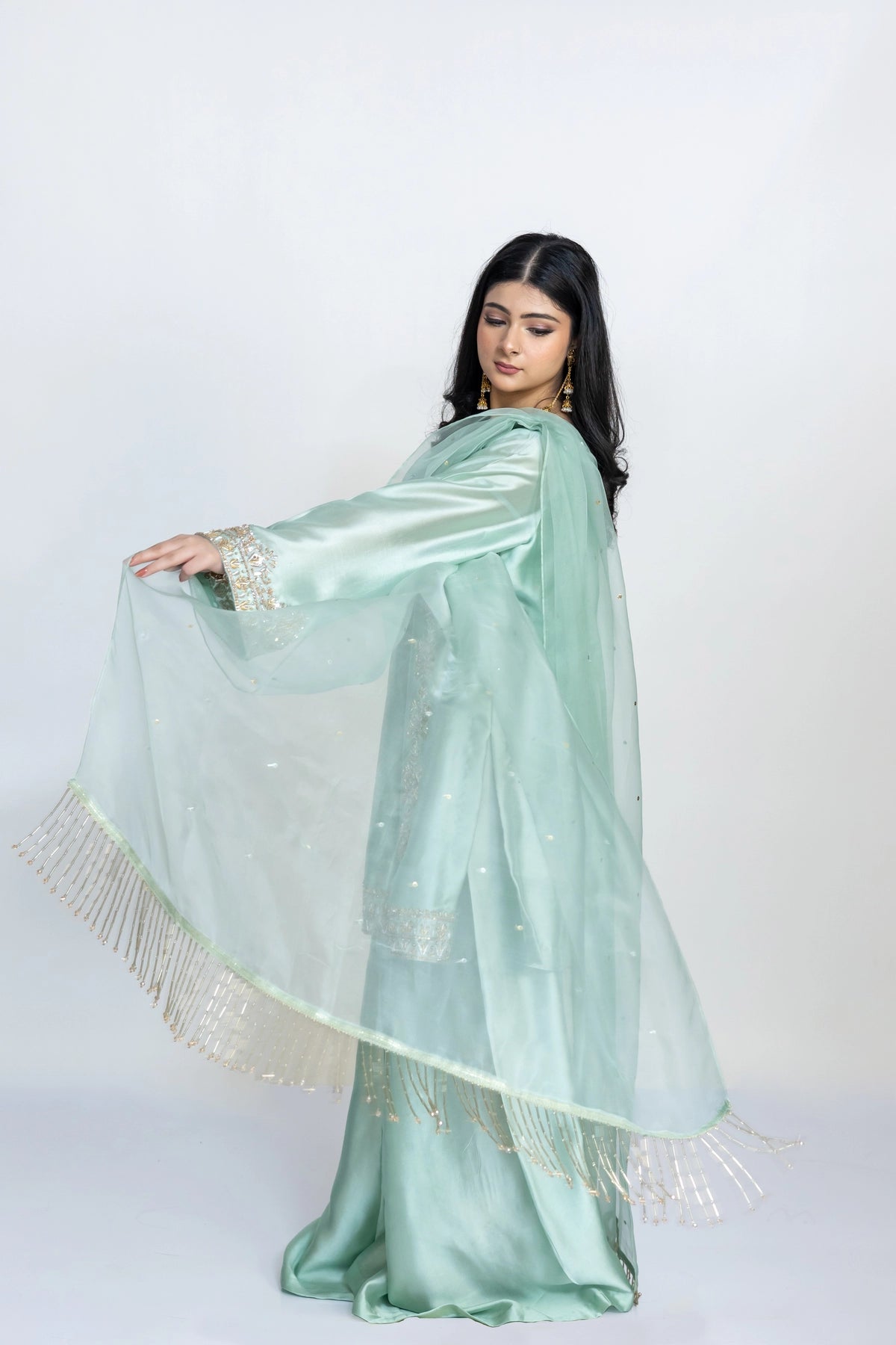 Anika mint green Sheesha silk stitched 3PC suit with handwork and organza dupatta from Soroya by MariamRaj