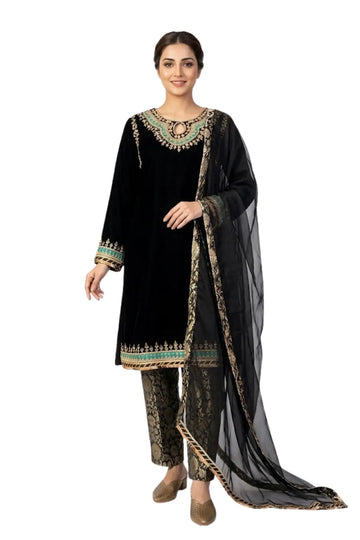Black Radiance-Embroidery detailed velvet dress for Pakistani Parties