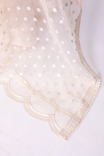 Mahjabeen – Festive Wear Pearl White Suit with Elegant Cutwork