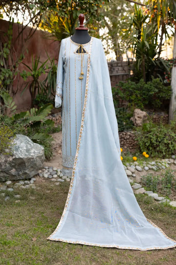 Moonlit Grace- Elegant light Grey Lawn Kamdani Frock