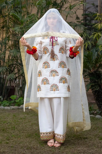 Parizaad- Pakistani Designer Formal Outfit